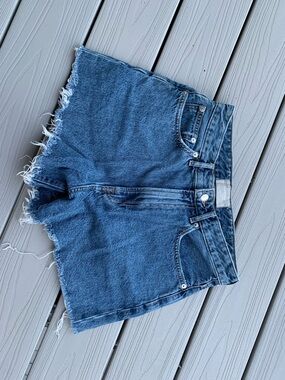 Everlane Raw-Hem Mid-Blue Denim Shorts